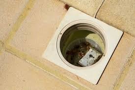 Trübes wasser muss raus, frisches rein, filter reinigen, und chlor zusetzen. Pool Reinigen Anleitung Schritt Fur Schritt Zum Sauberen Pool