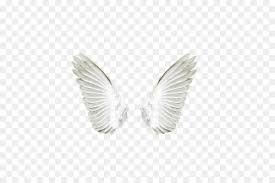 We did not find results for: Guardian Angel Transparent Angel Wings Png Novocom Top