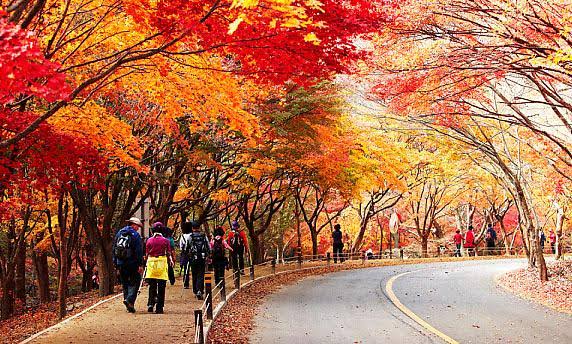 이번 주말 나들이 가까운 데 단풍 놀이 가볼까 | 아주경제