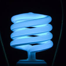We did not find results for: Negative Effects Of Compact Fluorescent Light Bulbs Cfls On Light Sensitive People Turbofuture