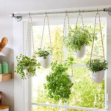 Create A Magnetic Herb Garden In 30 Minutes Herb Garden Planter Hanging Plants Indoor Hanging Plants