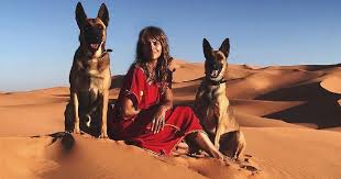 He dies and the dog lives. related: Halle Berry Helped Train Dogs For John Wick Chapter 3