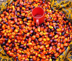 At The Market Palm Nut Kernels Photography Hannah Faux Sierra Leone Sierra Leone Sierra Outdoor Market
