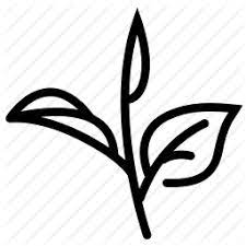 Harvest Herb Leaf Leaves Tea Tea Leaf Tea Leaves Icon Download On Iconfinder Tea Leaves Herbs Icon