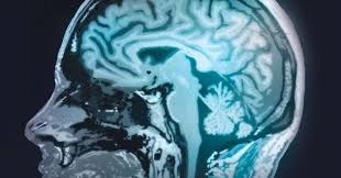 Are forța și puterea de convingere a adevărului. Elena Scrie Recenzie LiterarÄƒ MinÈ›ile Lui Billy Milligan De Daniel Keyes 1981