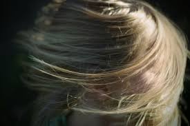 It will show all stylists in your area. How Can I Find Hair Salons Near Me That Are Still Open During Lock Down And Who Will Be Operating Safely Manam