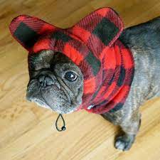 Snorf Industries Adjustable Bathat Sport The Plush Fleece Hat That Keeps Ears Warm Great For Frenchies Boston Terriers Pugs Boston Terrier Fleece Hat Pugs