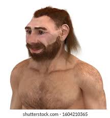 Neanderthal Images, Stock Photos & Vectors | Shutterstock