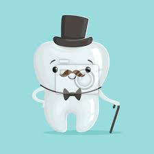 Thank you to the kind gentleman at six flags who let me trade my claw machine prize and not only ⋅ r/maltese. Nette Gesunde Weisse Karikatur Zahn Gentleman Charakter Tragen Fototapete Fototapeten Medicals Gentleman Molaren Myloview De