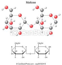 Structural Chemical Formula And Model Of Maltose 2d And 3d Illustration Vector Isolated On White Background Eps 8 Canstock
