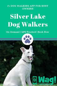 Hours may change under current circumstances Best Dog Walkers In Silver Lake Of Los Angeles Ca Wag Dog Walker Dog Training Near Me Dog Walking