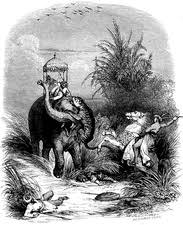 Tiger hunting in India, 19th century ...