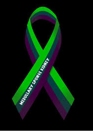 Medullary Sponge Kidney Awareness Medullary Sponge Kidney Kidney Transplant Kidney