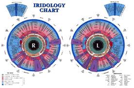 Healthy Flow Iridology Melbourne Optimize Your Health