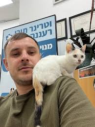 חתולים לאימוץ