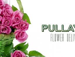 Potpourri flowers & gifts, located in cheyenne, wyoming, is at east 21st street 1900. The 5 Best Options For Flower Delivery In Cheyenne Wyoming 2021