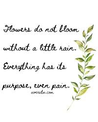 Roses are a popular flower choice to give someone we love and care about deeply. 150 Top Self Love Quotes To Always Remember Part 1 The Ultimate Inspirational Life Quotes Flowers Do Not Bloom Flower Quotes Bloom Quotes Flower Quotes Life