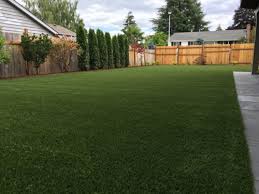 Artificial pet turf or fake grass for dogs has been steadily increasing in popularity among homeowners for use in front yards, backyards, play areas. A Landscape Designer S 10 Reasons To Think Twice About Artificial Turf