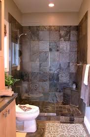 Natural Slate Tile In Shower Not All The Way To Ceiling Small Bathroom Remodel Small Bathroom Bathrooms Remodel