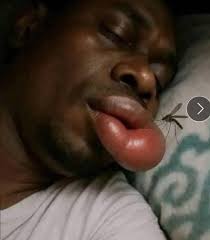 Am I the asshole for ending my marriage over stepdaughter's behavior?