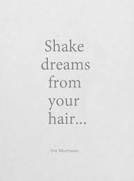 Shake Dreams From Your Hair Wish I Could Quotes Hair Quotes Words