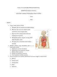 Kunci jawaban sistem gerak a. Soal Uts Anatomi Fisiologi Manusia Pdf