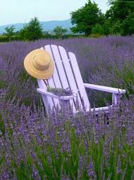 Peaceful Place In Purple Lawn Chairs Outdoor Decor Outdoor Chairs