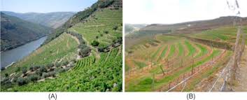 Early leaders of the organic farming movement emphasized that, over the long term, successful in organic crop and livestock production, pest, weed, and disease management emphasize cultural and preventative practices before the use of. Pest Control In Organic Farming Sciencedirect