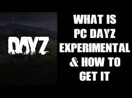 Beginners Guide What Is Pc Dayz Experimental How To Get Download It Get On The Test Server Youtube