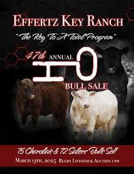 Effertz Key Ranch 47th Annual Bull Sale by LivestockDirect