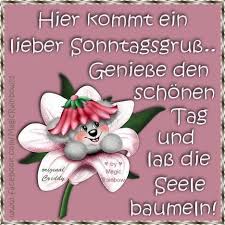 Liebe sonntagsgrüße von mir zu dir. Whatsapp Sonntag Lustig Bilder Und Spruche Fur Whatsapp Und Facebook Kostenlos