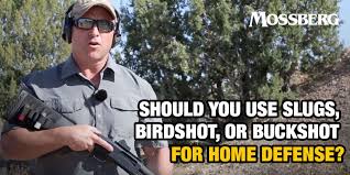 Today i tested 3 loads. Mossberg Blog Should You Use Slugs Birdshot Or Buckshot For Home Defense O F Mossberg Sons Inc