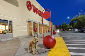Guide To California Service Dog Laws Superdog Service Dogs