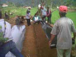 Dalam sewa menyewa tanah, penting bagi penyewa untuk mencatat penggunaan lahan oleh penyewa kelak. Mimpi Kaya Dari Berkebun Sayur Harapan Petani Kota Kelas Mikro Halaman All Kompasiana Com