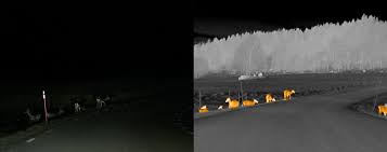 Bmw Animal Detection Without And With Night Vision Night Vision Night Visions