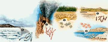 El Origen de la Vida sobre la Tierra