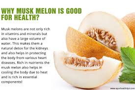Why Musk Melon Is Good For Health Fruit Benefits Healthy Fruits Melon Benefits