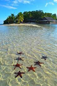 The prehistory of vanuatu is obscure; Vibrant Vivacious Vanuatu The Happiest Country In The World Vanuatu Island Places To Travel