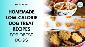 I've been baking up this recipe for my dogs since i was in the 6th grade back in merrill, or. Homemade Low Calorie Dog Treats For Obese Dogs Monkoodog