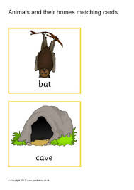 Have your preschoolers pull out a crayon and draw a line to match up the spider, bird, bee, and ant to their correct homes. Animal Homes Printables For Primary School Sparklebox