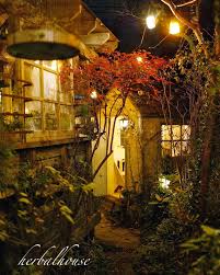 Herb Garden At Night Veggie Garden Garden Herb Garden