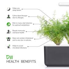We did not find results for: Dill Plant Pods Click Grow