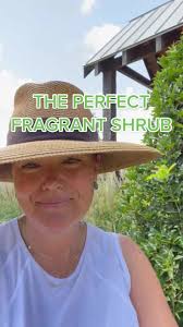 Carmen Johnson Landscaping