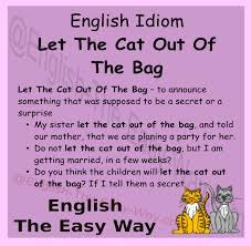 Pin On Idioms