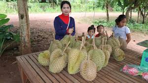 Pesta durian shah alam 2017; D24 Durian Buffet In Kepong Baru Sk6363 Malaysia By Placesandfoods