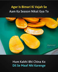 Haye Corona In 2020 Food Fruit Funny Memes