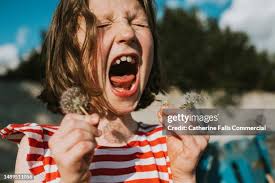 1,444 Six Pip Stock Photos, High-Res Pictures, and Images