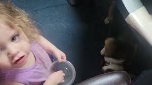 Toddler feeding Daisy