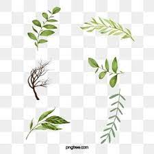 Watercolor Leaves Png Images Vector And Psd Files Free Download On Pngtree Cherry Blossom Watercolor Watercolor Leaves Spring Flowers Background