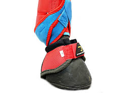 Get the best deal for cactus horse boots from the largest online selection at ebay.com. Dynamic Edge Boots Red Turquoise Sport Boots Splint At The Silver Spur